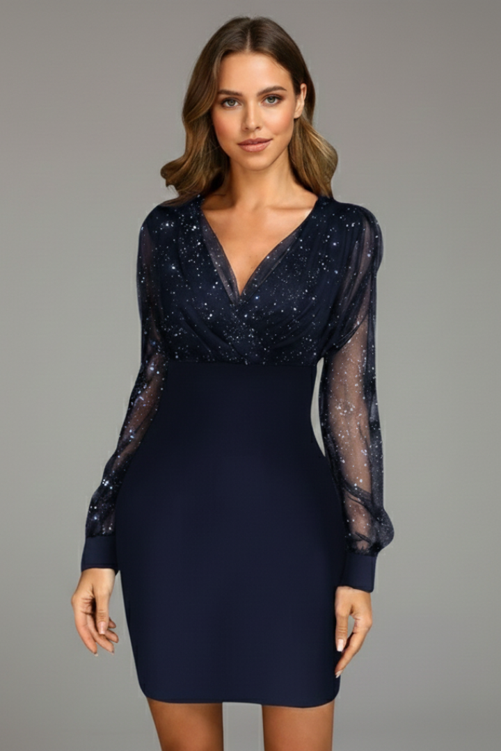 Women’s Mini Dress with V Neck and Sheer Sleeves
