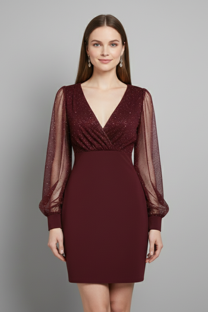 Women’s Mini Dress with V Neck and Sheer Sleeves