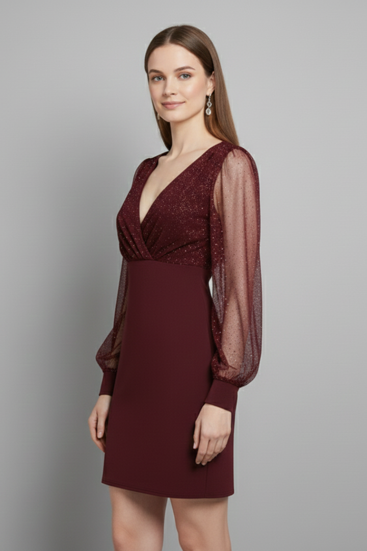 Women’s Mini Dress with V Neck and Sheer Sleeves
